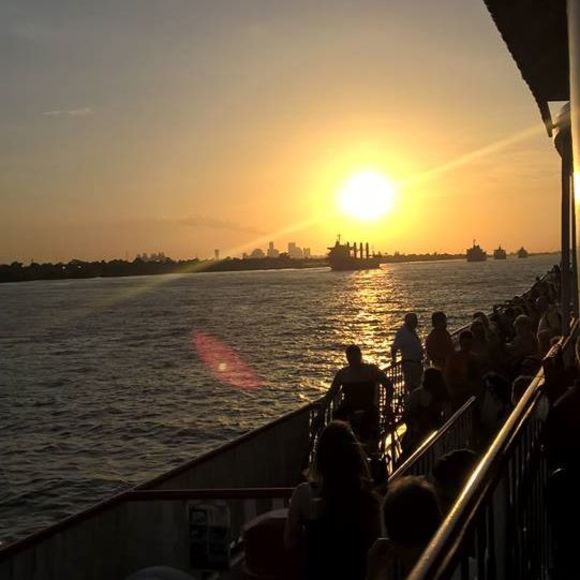 Meet your Posher, Tatum - Picture 1 of 1