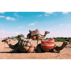 Meet your Posher, Natalie