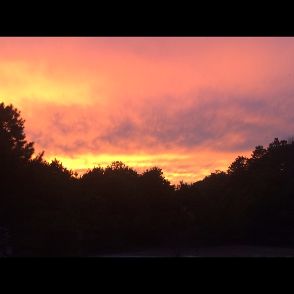 Meet your Posher, Tammie - Picture 1 of 1