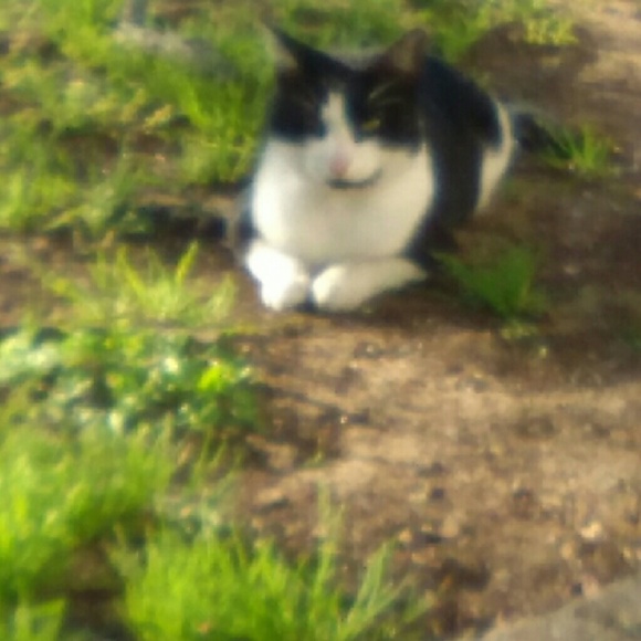 Meet your Posher, Leslie