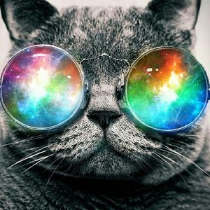 Meet your Posher, Cesia