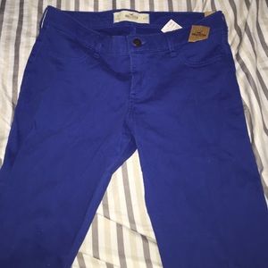 Bright blue Hollister Jeans with tags never worn