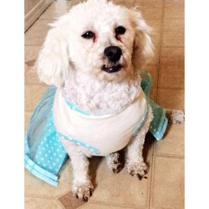 Meet your Posher, Katherine