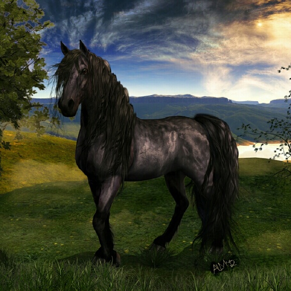 Meet your Posher, Leticia