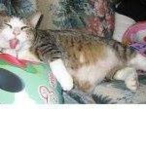 Meet your Posher, Ga