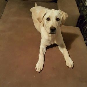 Meet your Posher, Niki