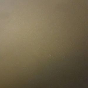 Meet your Posher, Tiera