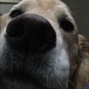 Meet your Posher, Tonya