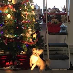 Meet your Posher, Catherine