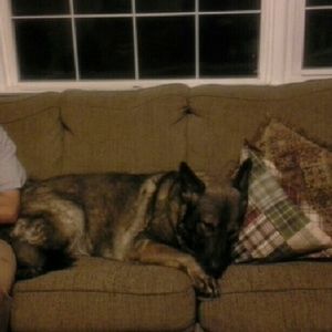 Meet your Posher, Tracey