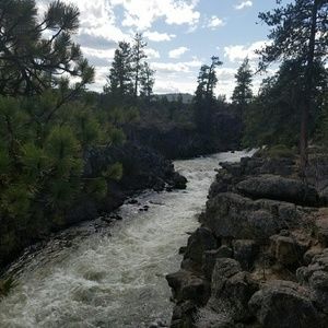 Meet your Posher, Charlene