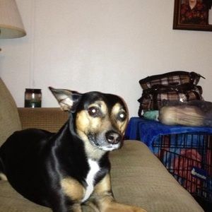 Meet your Posher, Cheryl