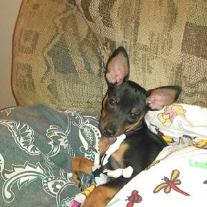 Meet your Posher, Wendy