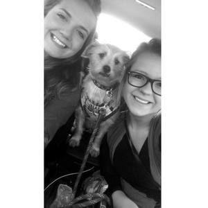 Meet your Posher, Willow