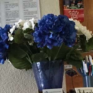 Meet your Posher, Isa