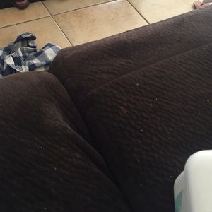 Meet your Posher, Rubi