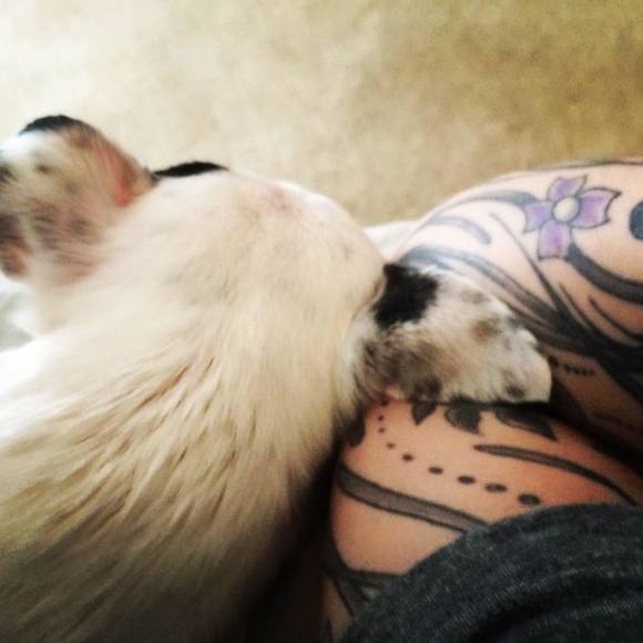 Meet your Posher, Melissa