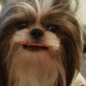 Meet your Posher, Stella