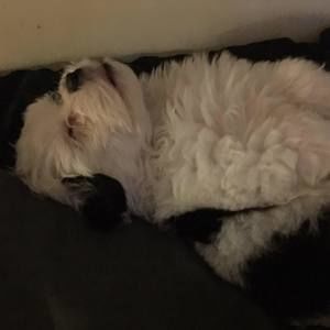 Meet your Posher, Cathy