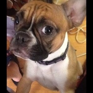 Meet your Posher, Michaela