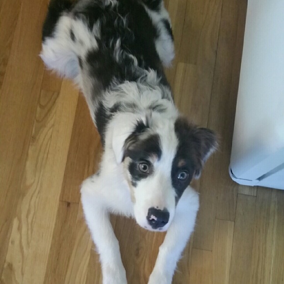 Meet your Posher, Kathy - Picture 1 of 1