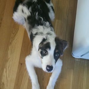 Meet your Posher, Kathy