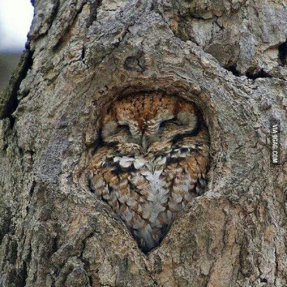 Meet your Posher, Tamara - Picture 1 of 1