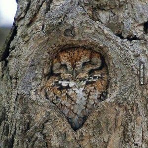 Meet your Posher, Tamara