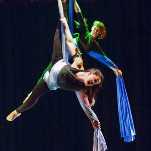 Meet your Posher, Toni