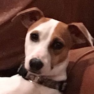 Meet your Posher, Samanda