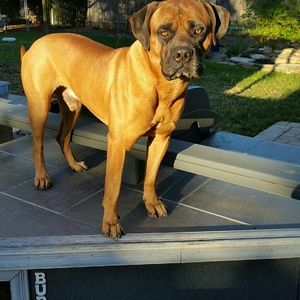 Meet your Posher, Michele