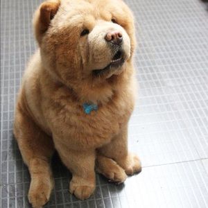 Meet your Posher, Emeline