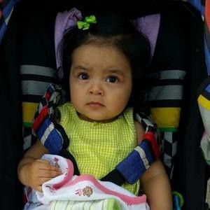 Meet your Posher, Alfredo