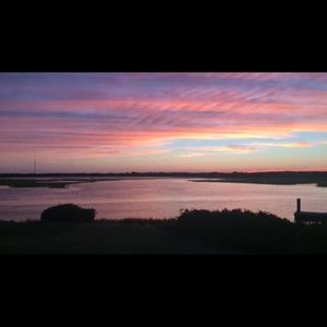 Meet your Posher, Carol