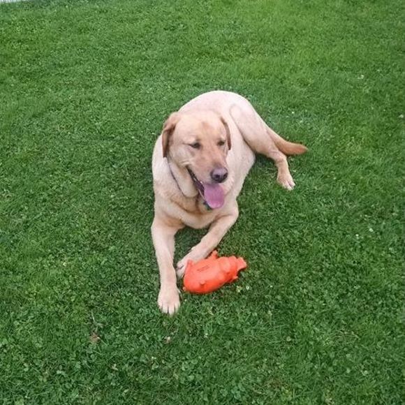 Meet your Posher, Faith - Picture 1 of 1