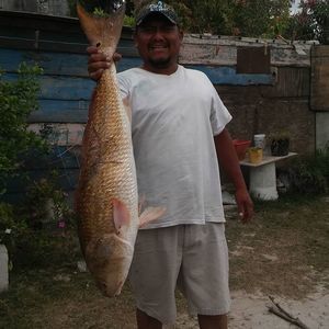 Meet your Posher, Edith