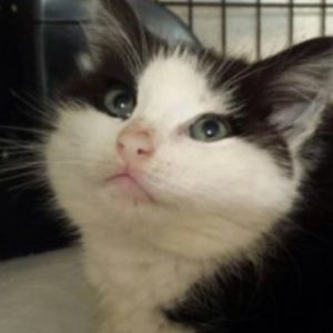 Meet your Posher, Lexi