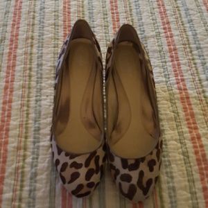 Calving Klein Leopard Dress Shoes