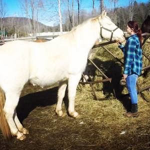 Meet your Posher, Kristy