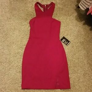 Express hot pink dress