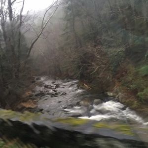 Meet your Posher, Leanne