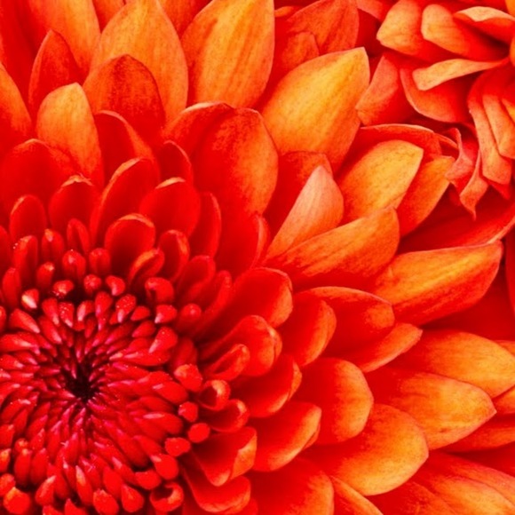 Meet your Posher, Margaret