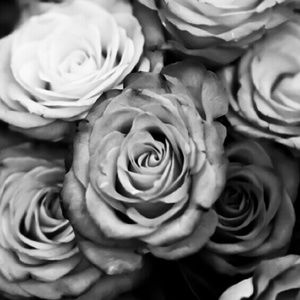 Meet your Posher, OfficeGlo