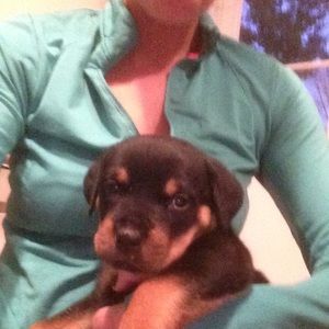 Meet your Posher, Cait