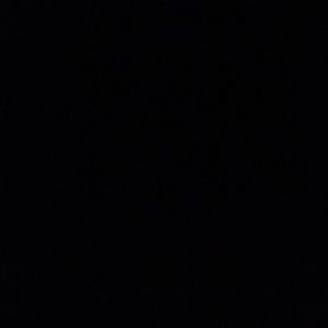 Meet your Posher, Lucy