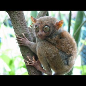 Meet your Posher, Leanne