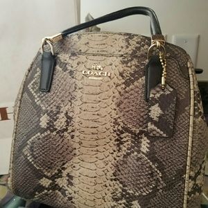 Coach python leather purse