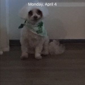 Meet your Posher, Tami