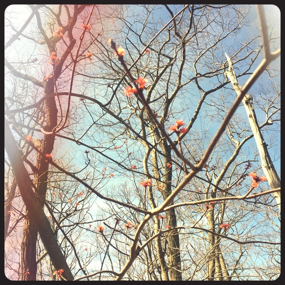 Bundle of sweaters for rajacobsxc 🎁