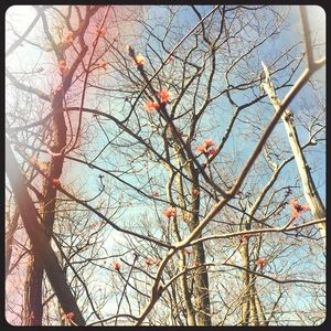 Bundle of sweaters for rajacobsxc 🎁